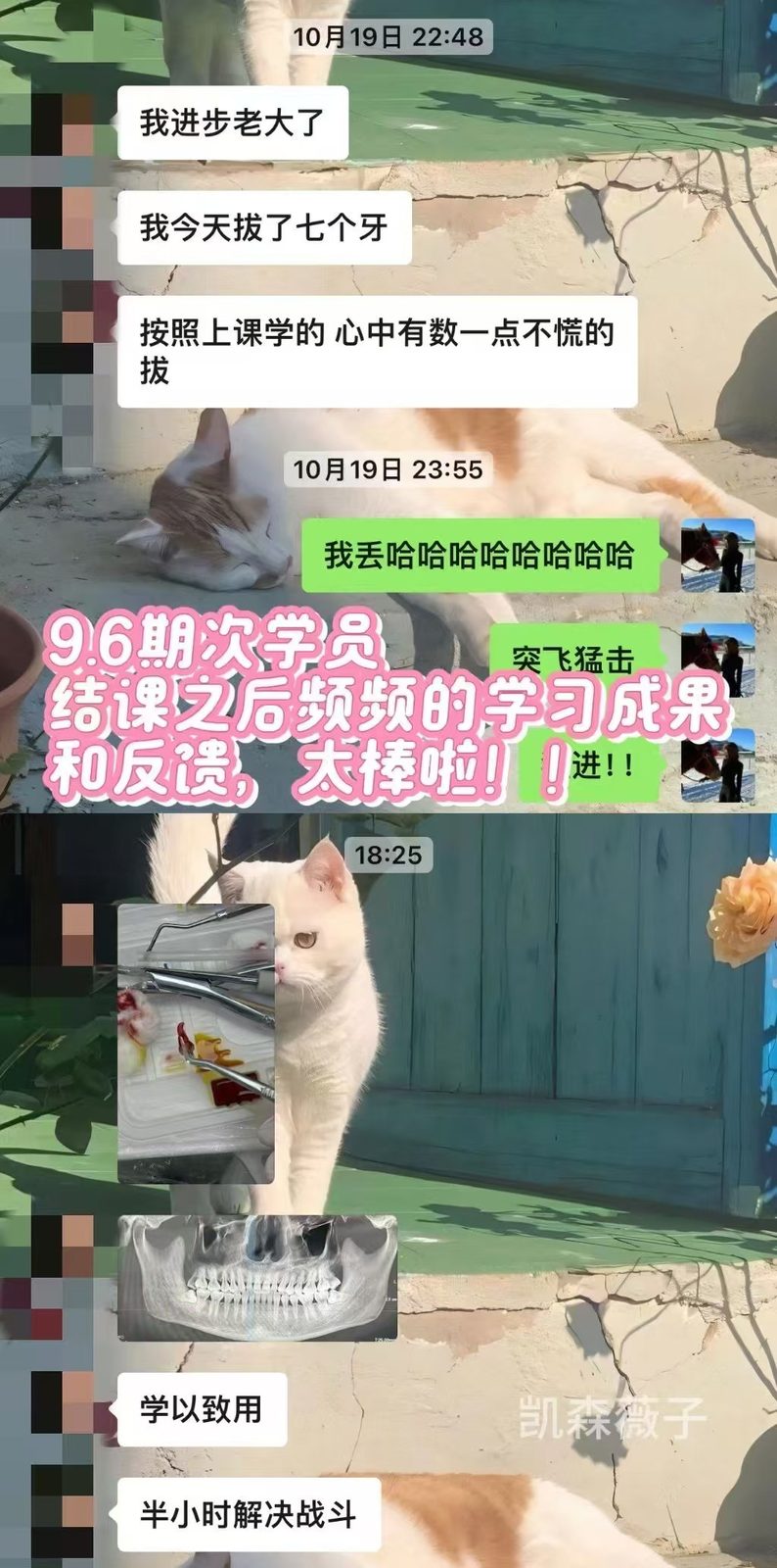 学员反馈 22
